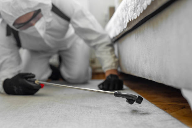 Professional Termite Control technician working in Clifton, IL