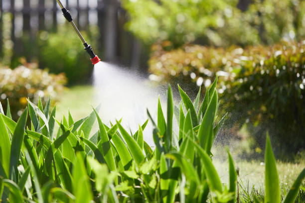 24/7 Emergency Termite Control experts in Clifton, IL