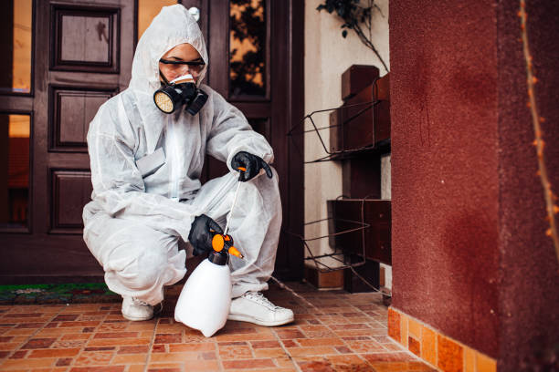 Reliable Termite Control contractor in Clifton, IL by Nex Pest Control